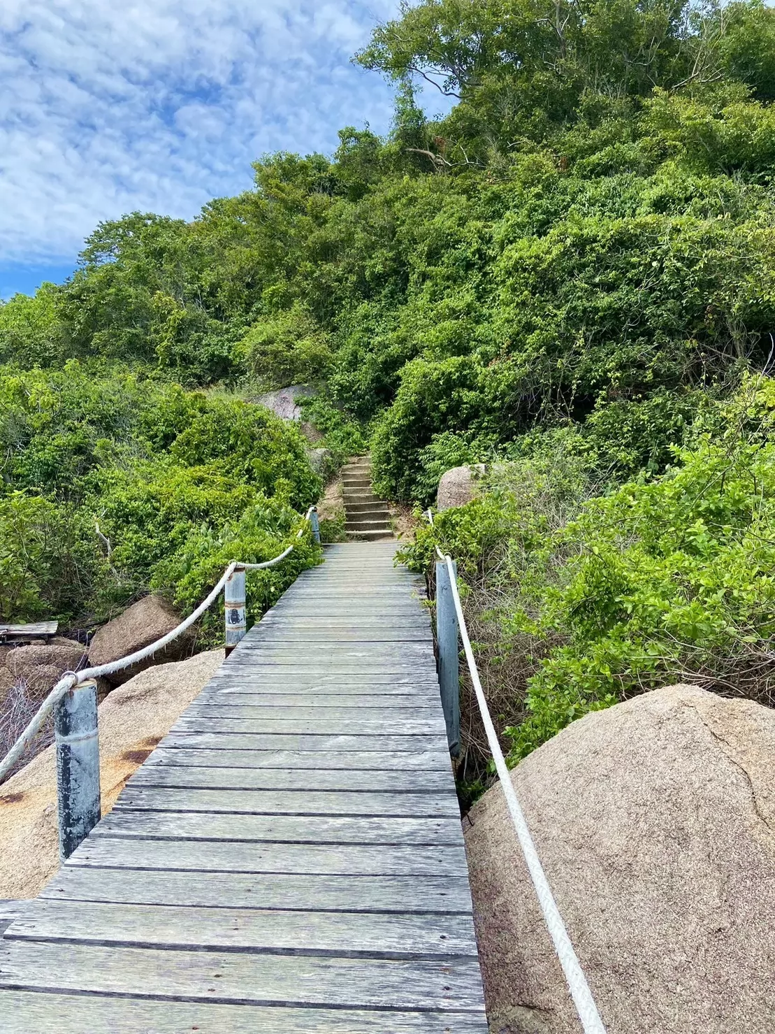 1 Day Trip Koh Tao Koh Nang Yuan by Speed Boat - Snorkeling