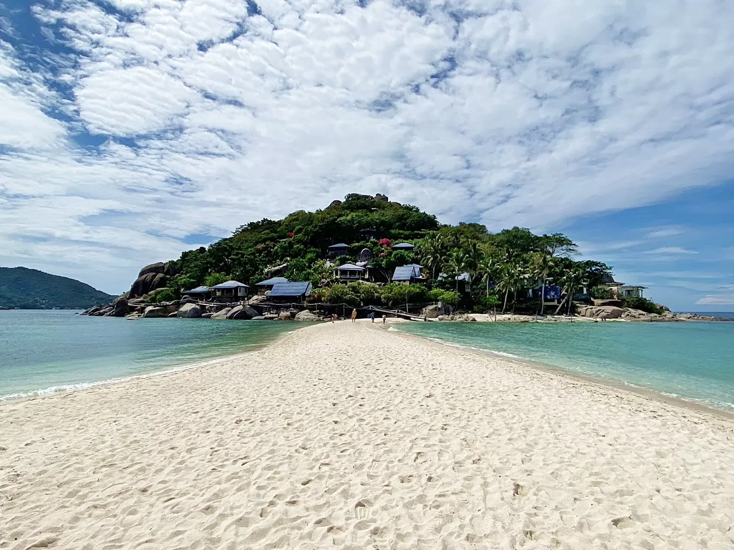 1 Day Trip Koh Tao Koh Nang Yuan by Speed Boat - Snorkeling