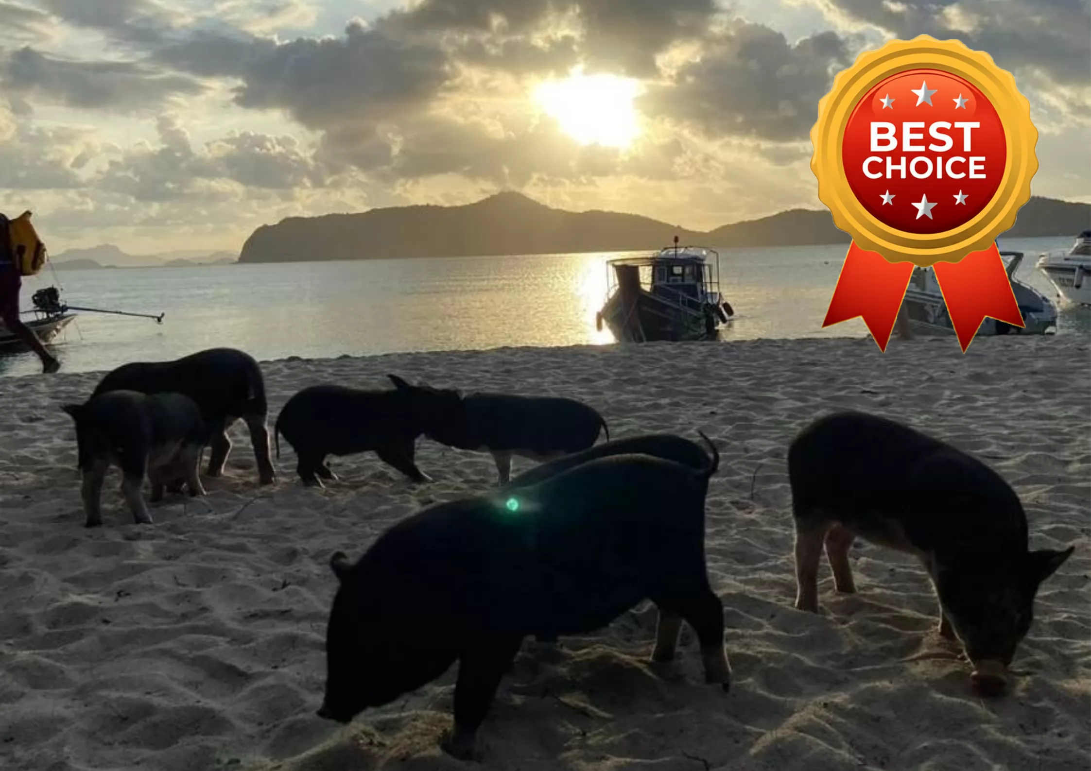 Sunset Snorkeling Trip Koh Mudsum Koh Tan by Speed Boat